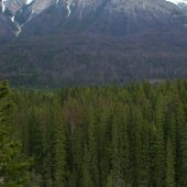  Yoho National Park, British Columbia, Canada